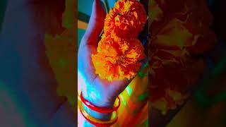 Mohabbat Barsa dena🌼🌼🌼🌼🌼🌼🌼🌼shoryvideoshort video [upl. by Spitzer]