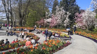 Beautiful garden  Insel Mainau [upl. by Enaillil165]