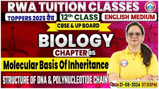 Class 12 Biology Chapter 5  Molecular Basis Of Inheritance Structure of DNA amp Polynucleotide Chain [upl. by Pitts]