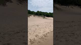 Mauihowey’s Videos Saugatuck dunes and beach on Lake Michigan🇺🇸shorts explore recommended [upl. by Leah]