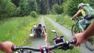 DOGTrekkingtour Westerwald 2015 Video  Unterwegs mit Zeltgepäck [upl. by Eirised]