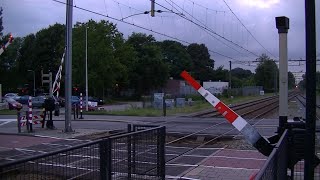 Spoorwegovergang DriebergenZeist  Dutch railroad crossing [upl. by Moria]