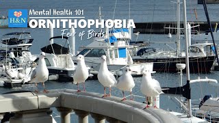 Mental Health 101 ORNITHOPHOBIA Fear of Birds [upl. by Esetal]