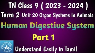 Human Digestive System  Part 1 Class 9 Science Term 2 Unit 20 Organ Systems in Animals [upl. by Adaiha]