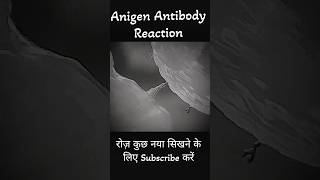 Antigen Antibody Reaction dadhichsir bsc neet shorts youtubeshorts [upl. by Gabbey]