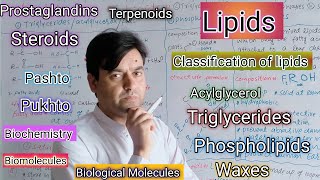 Lipids  Classification  Acylglycerol  Triglycerides  Phospholipids  Waxes  Steroids PG [upl. by Kriss50]