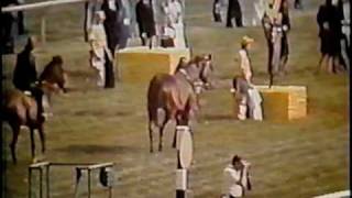 SECRETARIAT  1973 Preakness Stakes  Part 2 CBS [upl. by Nibroc855]