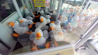 fun zone claw machine [upl. by Dryfoos]