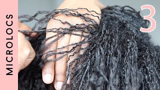 3 Month Micro Dreadlocks Update  Whats going to happen to your relaxed hair [upl. by Ecenahs]