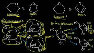 BIOCHEM 5  Cyclization of Monosaccharides [upl. by Mikihisa494]