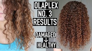 Olaplex No 3 Before amp After Results  How to Use Olaplex to Repair Damaged Curly Hair [upl. by Ferrel]