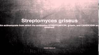 Medical vocabulary What does Streptomyces griseus mean [upl. by Orelu]