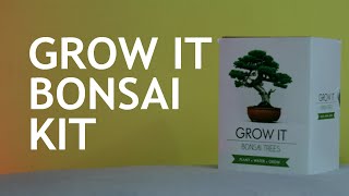 Grow It Bonsai Kit 06 months Part 1 [upl. by Thurmond945]