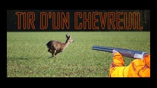 BATTUE CHEVREUIL  TIR DUN CHEVREUIL  Bretagne  20182019 [upl. by Janeen]