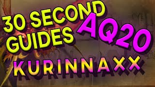 Kurinnaxx  30 Second Guides  AQ20 [upl. by Arsuy791]