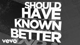 Hinder  Should Have Known Better Official Lyric Video [upl. by Waine]