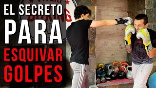 El SECRETO Para ESQUIVAR GOLPES  VITERI BOXING [upl. by Luamaj26]