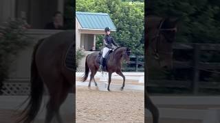 💃🕺 dressage eventing geldings ottb horseshow [upl. by Ahsitahs547]