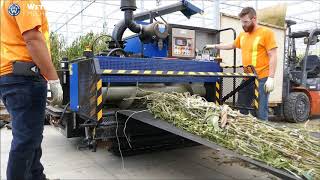 New Super Bio Chopper Compact shredder cleaning out tomato plants greenhouse Ontario Canada [upl. by Llecrep]