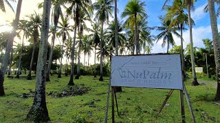 Nu Palm Beach Resort in San Narciso Quezon [upl. by Romo]