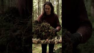 GIRL makes BUSHCRAFT KITCHEN in a Thunder and Rain🌲⛈️ bushcraft camping asmr thebushcraftcouple [upl. by Aihsiym637]