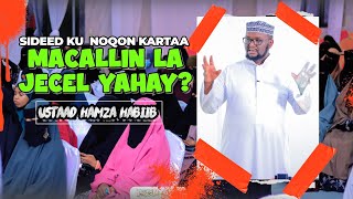 quotSIDEED KU NOQON KARTAA MACALLIN LA JECEL YAHAYquot  USTAAD HAMZA HABIIB [upl. by Nero]