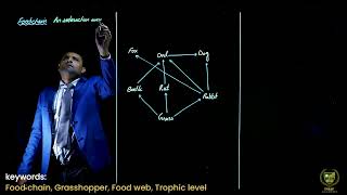 Food Chain Food Web  12TH BIOLOGY  CHAPTER 25  LECTURE 5 [upl. by Annawt]