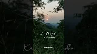 💙💜 Un paarvaiyil oraayiram🥰 Amman Kovil kizhakale  whatsapp status tamil  shorts [upl. by Erehs]