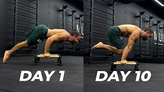 THE BEST Planche workout for Beginners  How to Get Your First Planche [upl. by Fritzsche]