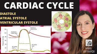 Alevel CARDIAC CYCLE Diastole atrial systole ventricular systoles the pressure volume changes [upl. by Milty]