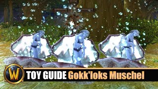 WOW Spielzeug Guide 112 Gokkloks Muschel [upl. by Irra495]