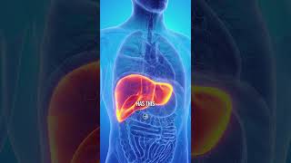 Your Liver Can Actually Regrow 👉 [upl. by Aeila106]