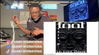 I WAS NOT EXPECTING THIS AT ALL Tool  The Pot Lyrics  REACTION [upl. by Latnahs354]