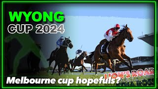 2024 Wyong Cup   Lion’s Roar Medatsu Etna Rosso [upl. by Ahsakal]