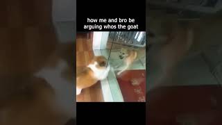 how me and bro be arguing about whos the goat [upl. by Areema603]