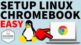 How to Set Up Linux on Chromebook [upl. by Nyrrat]