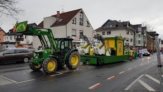 Karneval in Wesseling 2018 Kinderkarnevalszug [upl. by Carolan]