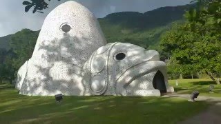 Museo El Cemi de los Indios Tainos en JayuyaPuerto Rico [upl. by Congdon]