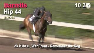 War Front colt West Point Thoroughbreds Horse Racing Partnerships March 2014 [upl. by Ataliah]