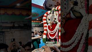 Kandha Sasti Kavasammurugan kandhasastikavasam thiruchendur murugansongs murugantemple youtube [upl. by Tsan994]