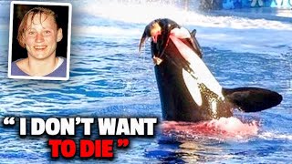 The Horrifying Last Moments of Seaworld Trainer Keltie Byrne [upl. by Natassia]