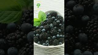 Beneficios de los Arándanos  El POTENTE Antioxidante para tu Salud [upl. by Addiel879]