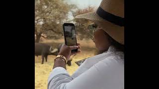 Palala Boutique Game Lodge in Limpopo South Africa [upl. by Joshi]