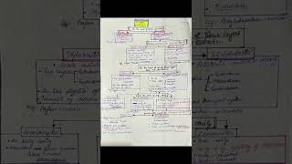 Ace Animal Kingdom Classification in 20 Mins Quick MemoryHacks Key Differences12thclasseasylearm [upl. by Nywrad553]