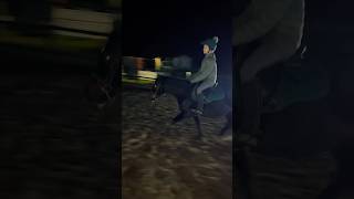 Flatwork in the dark 🤩 equestrian [upl. by Kerrin]