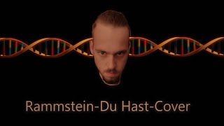 Rammstein  Du Hast Cover [upl. by Aital]