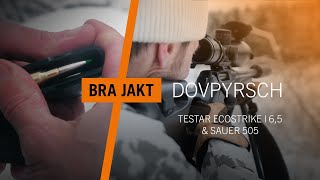 Pyrschjakt på dovvilt  Premiär med Sauer 505 och Ecostrike 65  BRA JAKT [upl. by Nico709]