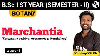 Lec05  Morphology of Marchantia  BSc 1st Year  2nd Semester Botany  By KD Sir [upl. by Dahaf288]