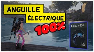 100 CHANCE dAnguille Électrique  Once Human Trucs et Astuces QCFR [upl. by Menedez235]