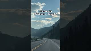 Icefields Parkway AB Canada shorts banff viralvideo viralshorts rockies roadtrip [upl. by Kristos564]